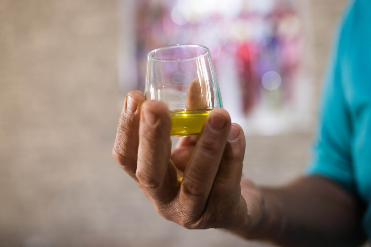 Tasting Zadar